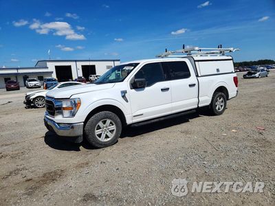 2022 FORD F150 SUPER 1FTFW1CD5NFB30129 - główne zdjęcie licytacji z USA - miniatura