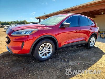 2022 FORD ESCAPE SE 1FMCU0G67NUC04592 - główne zdjęcie licytacji z USA - miniatura