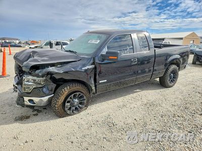 2013 FORD F150 SUPER CAB 1FTFX1ET0DKF60013 - główne zdjęcie licytacji z USA - miniatura