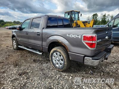 Drugie zdjęcie samochodu z przodu: 2013 FORD F150 SUPERCREW VIN:1FTFW1ET6DKE15142 - miniatura