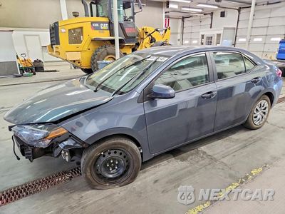 2019 TOYOTA COROLLA LE 2T1BURHE2KC160861 - główne zdjęcie licytacji z USA - miniatura