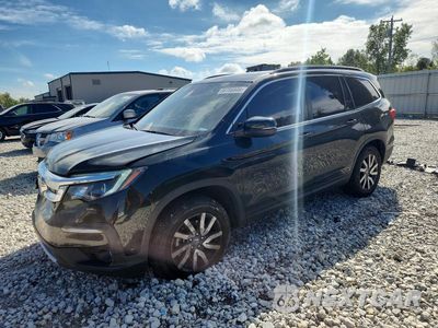 2019 HONDA PILOT EXL 5FNYF6H56KB090425 - główne zdjęcie licytacji z USA - miniatura