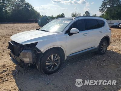 2019 HYUNDAI SANTA FE LIMITED 2.4L 5NMS53AD6KH028224 - główne zdjęcie licytacji z USA - miniatura