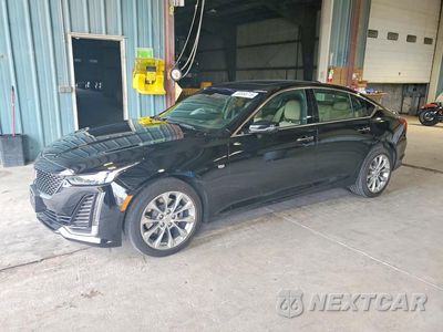 2022 CADILLAC CT5 PREMIUM LUXURY 1G6DT5RW9N0110617 - główne zdjęcie licytacji z USA - miniatura