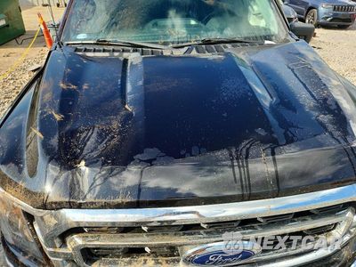Zdjęcie 11 z 12 samochodu: 2021 FORD F150 SUPERCREW VIN:1FTEW1EP8MKD89822 - miniatura