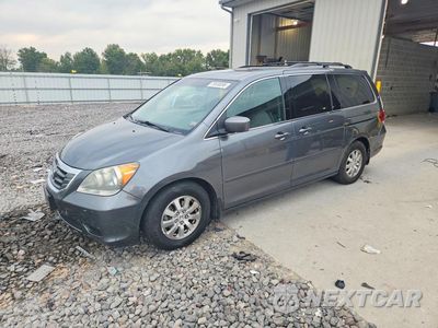 2010 HONDA ODYSSEY EXL 5FNRL3H66AB113964 - główne zdjęcie licytacji z USA - miniatura