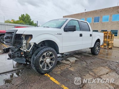 2013 FORD F150 SUPERCREW 1FTFW1EF4DFD86405 - główne zdjęcie licytacji z USA - miniatura