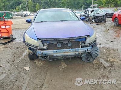 Piąte zdjęcie samochodu w środku: 2010 HONDA ACCORD EXL VIN:1HGCS1B81AA002014 - miniatura