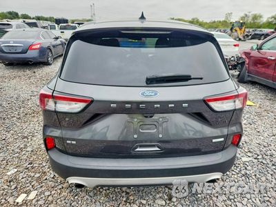 Zdjęcie 6 z 14 samochodu: 2020 FORD ESCAPE SE VIN:1FMCU0G69LUA28741 - miniatura