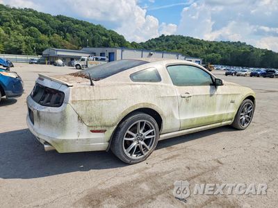 Trzecie zdjęcie samochodu z tyłu: 2013 FORD MUSTANG GT VIN:1ZVBP8CF4D5270485 - miniatura