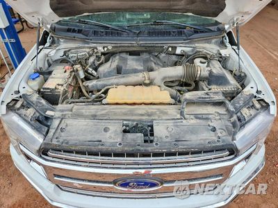 Zdjęcie 11 z 12 samochodu: 2019 FORD F150 SUPERCREW VIN:1FTEW1E40KKC14631 - miniatura