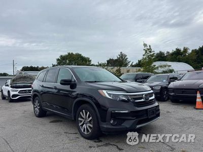 2022 HONDA PILOT EXL 5FNYF5H52NB015638 - główne zdjęcie licytacji z USA - miniatura