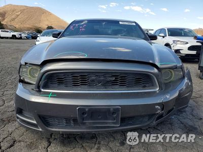Piąte zdjęcie samochodu w środku: 2013 FORD MUSTANG VIN:1ZVBP8AM0D5282456 - miniatura