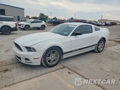 2014 FORD MUSTANG 1ZVBP8AM6E5204605 - główne zdjęcie licytacji z USA - miniatura