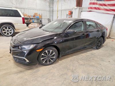 2021 HONDA CIVIC LX 2HGFC2F68MH557539 - główne zdjęcie licytacji z USA - miniatura