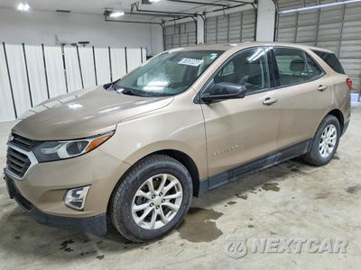 2019 CHEVROLET EQUINOX LS 2GNAXHEV6K6244921 - główne zdjęcie licytacji z USA - miniatura