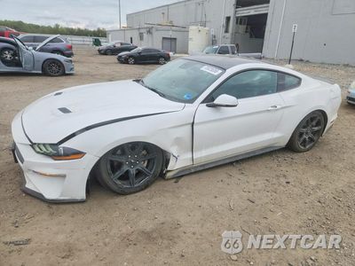 2019 FORD MUSTANG 1FA6P8TH1K5133240 - główne zdjęcie licytacji z USA - miniatura