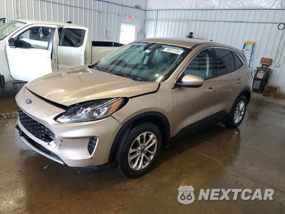 2021 FORD ESCAPE SE 1FMCU9G60MUB31066 - główne zdjęcie licytacji z USA - miniatura