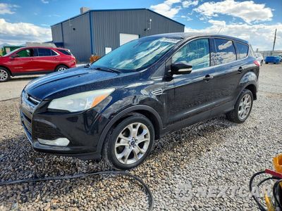 2013 FORD ESCAPE SEL 1FMCU0HXXDUC53551 - główne zdjęcie licytacji z USA - miniatura