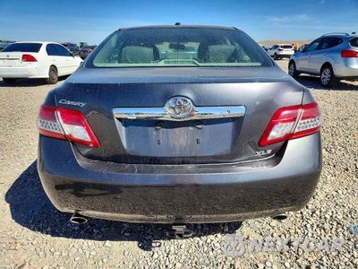 Zdjęcie 6 z 12 samochodu: 2010 TOYOTA CAMRY XLE V6 VIN:4T1BK3EK8AU608143 - miniatura