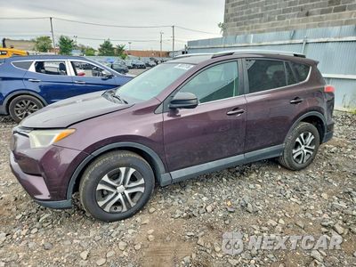 2016 TOYOTA RAV4 LE 2T3BFREV0GW504599 - główne zdjęcie licytacji z USA - miniatura
