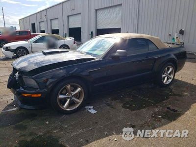 2007 FORD MUSTANG GT 1ZVHT85H675220860 - główne zdjęcie licytacji z USA - miniatura