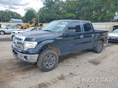 2013 FORD F150 SUPERCREW 1FTFW1EFXDKD34493 - główne zdjęcie licytacji z USA - miniatura
