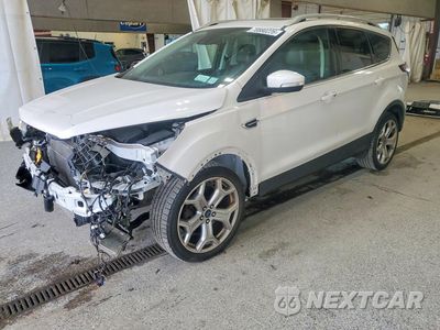2017 FORD ESCAPE TITANIUM 1FMCU9J97HUC38155 - główne zdjęcie licytacji z USA - miniatura