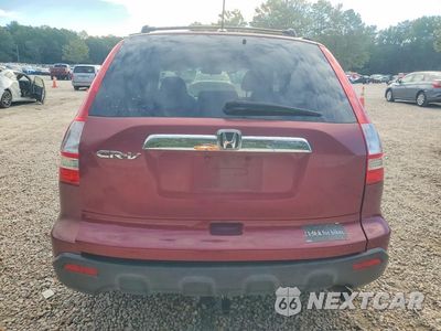 Zdjęcie 6 z 13 samochodu: 2009 HONDA CR-V EXL VIN:5J6RE387X9L015980 - miniatura