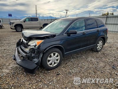 2009 HONDA CR-V EX JHLRE48559C004494 - główne zdjęcie licytacji z USA - miniatura