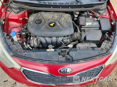 Zdjęcie 11 z 12 samochodu: 2014 KIA FORTE LX VIN:KNAFX4A69E5153404 - miniatura