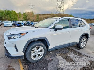 2019 TOYOTA RAV4 XLE JTMP1RFV7KJ002084 - główne zdjęcie licytacji z USA - miniatura