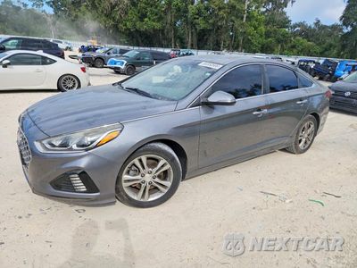 2019 HYUNDAI SONATA SEL 5NPE34AFXKH788329 - główne zdjęcie licytacji z USA - miniatura