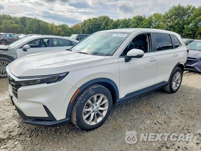 2024 HONDA CR-V EXL 2HKRS4H72RH484585 - główne zdjęcie licytacji z USA - miniatura