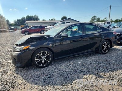 2019 TOYOTA CAMRY SE 4T1B11HK1KU204833 - główne zdjęcie licytacji z USA - miniatura