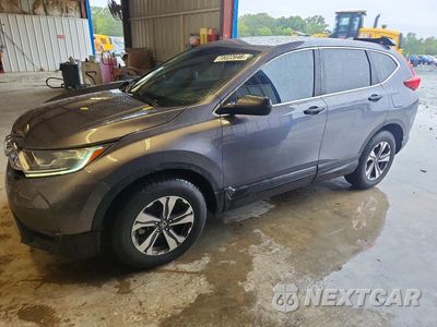 2019 HONDA CR-V LX 2HKRW6H37KH219051 - główne zdjęcie licytacji z USA - miniatura