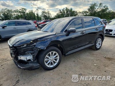 2024 HONDA CR-V EXL 2HKRS4H71RH428072 - główne zdjęcie licytacji z USA - miniatura