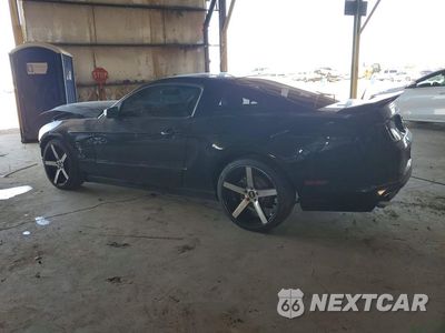Drugie zdjęcie samochodu z przodu: 2014 FORD MUSTANG VIN:1ZVBP8AM7E5301876 - miniatura