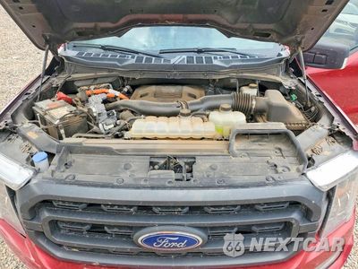 Zdjęcie 11 z 12 samochodu: 2022 FORD F150 SUPERCREW VIN:1FTFW1CD9NFB76627 - miniatura