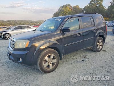 2011 HONDA PILOT EXL 5FNYF4H58BB014774 - główne zdjęcie licytacji z USA - miniatura