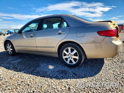 Drugie zdjęcie samochodu z przodu: 2005 HONDA ACCORD EX VIN:1HGCM66545A031911 - miniatura