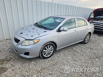 2010 TOYOTA COROLLA LE 2T1BU4EE8AC490378 - główne zdjęcie licytacji z USA - miniatura