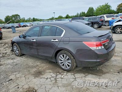 Drugie zdjęcie samochodu z przodu: 2011 HONDA ACCORD EXL VIN:1HGCP3F8XBA008631 - miniatura