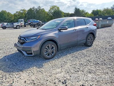 2021 HONDA CR-V EX 7FART6H55ME035095 - główne zdjęcie licytacji z USA - miniatura