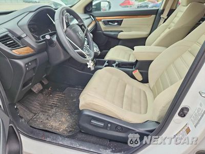 Zdjęcie 7 z 12 samochodu: 2020 HONDA CR-V EX VIN:5J6RW1H55LA008177 - miniatura