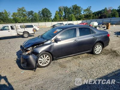 2010 TOYOTA COROLLA LE 1NXBU4EE7AZ202087 - główne zdjęcie licytacji z USA - miniatura
