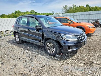 Czwarte zdjęcie samochodu z boku: 2016 VOLKSWAGEN TIGUAN S VIN:WVGBV7AX7GW607725 - miniatura