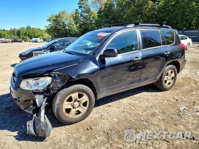 2011 TOYOTA RAV4 BASE 2T3BF4DV6BW127516 - główne zdjęcie licytacji z USA - miniatura