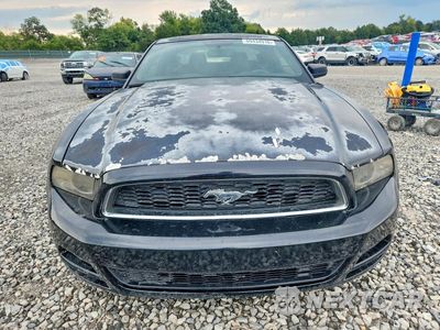Piąte zdjęcie samochodu w środku: 2014 FORD MUSTANG VIN:1ZVBP8AM0E5253377 - miniatura