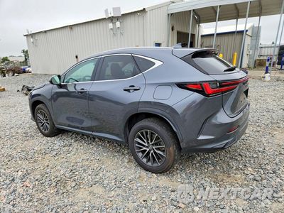 Drugie zdjęcie samochodu z przodu: 2023 LEXUS NX 250 VIN:2T2GDCAZ2PC005066 - miniatura